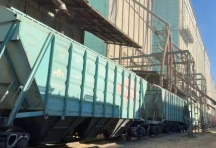 Жаңа өнімнен 5,8 млн тонна астық экспортталды