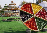 ТҮРКІСТАН: Ордабасыда «Алтын күз – 2025» мерекесі өтті