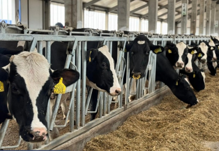 Атырау облысында 5 ауылдық округте карантин жарияланып, ет сатуға тыйым салынды