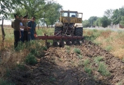 Шымкентте дала өртінің алдын алу шаралары жүріп жатыр