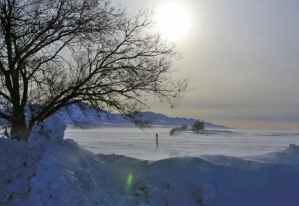 Ұлытау облысында жоғалып кеткен малшылар табылды