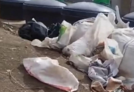 Алматыда қоқыстан терісі сыпырылған жануарлардың өлексесі табылды