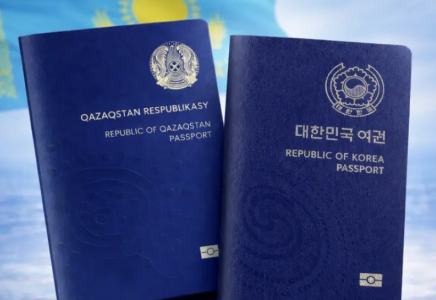 ​Желіде “жаңа паспорттың“ суреттері дау туғызды: ІІМ пікір білдірді