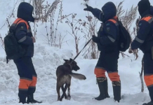 Алматы тауларында қыз баланың мәйіті табылды